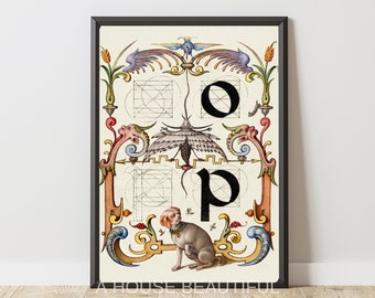 The Letters o p from The Model Book of Calligraphy (1561–1596) | Wall Art | Digital Print | Personalized Unique Art