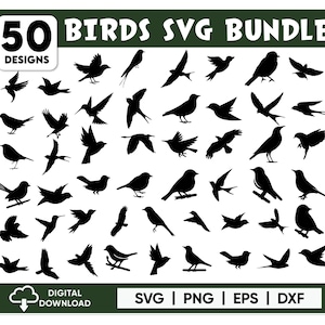 Bird Svg Bundle, Bird SVG, Flying Bird Svg, Animal Svg, Bird Silhouette, Birds Svg, Bird Clip Art, Sparrow Svg, Birds on Branches Svg