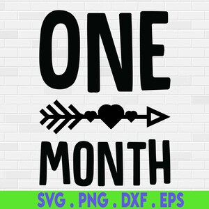 One Month Svg, New Baby Svg, Newborn Svg, Baby Svg, Baby Meilensteine, Monthly Milestones Svg, Baby Svg