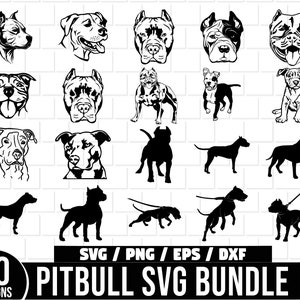 Pitbull Svg Bundle, American Pitbull svg, Pitbull Silhouette Svg, American Pitbull Svg Bundle, Pitbull Svg Files For Cricut