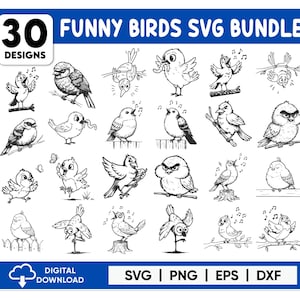 Funny Birds Bundle SVG, Cute Birds Design, Crazy Birds Clipart, Birds Vector, Frazzled Bird svg, Cartoon Bird dxf, Cartoon Bird png