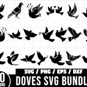 Paloma Svg Paquete, Paloma Svg, Pájaro Svg, Paloma Decoraciones Svg, Pájaro Volador Svg, Paloma Clipart, Paloma Vector, svg, Paloma silueta
