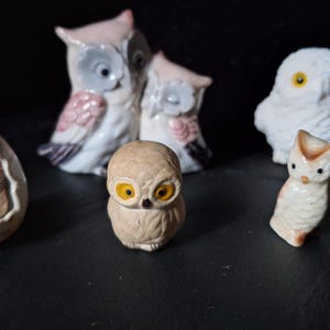 Peut inclure: Collection de figurines de hiboux en céramique de différentes tailles et styles. Les hiboux présentent une gamme de couleurs, dont le blanc, le rose et le marron, avec des yeux jaunes. Un hibou sort d'un œuf, tandis que d'autres se tiennent debout.
