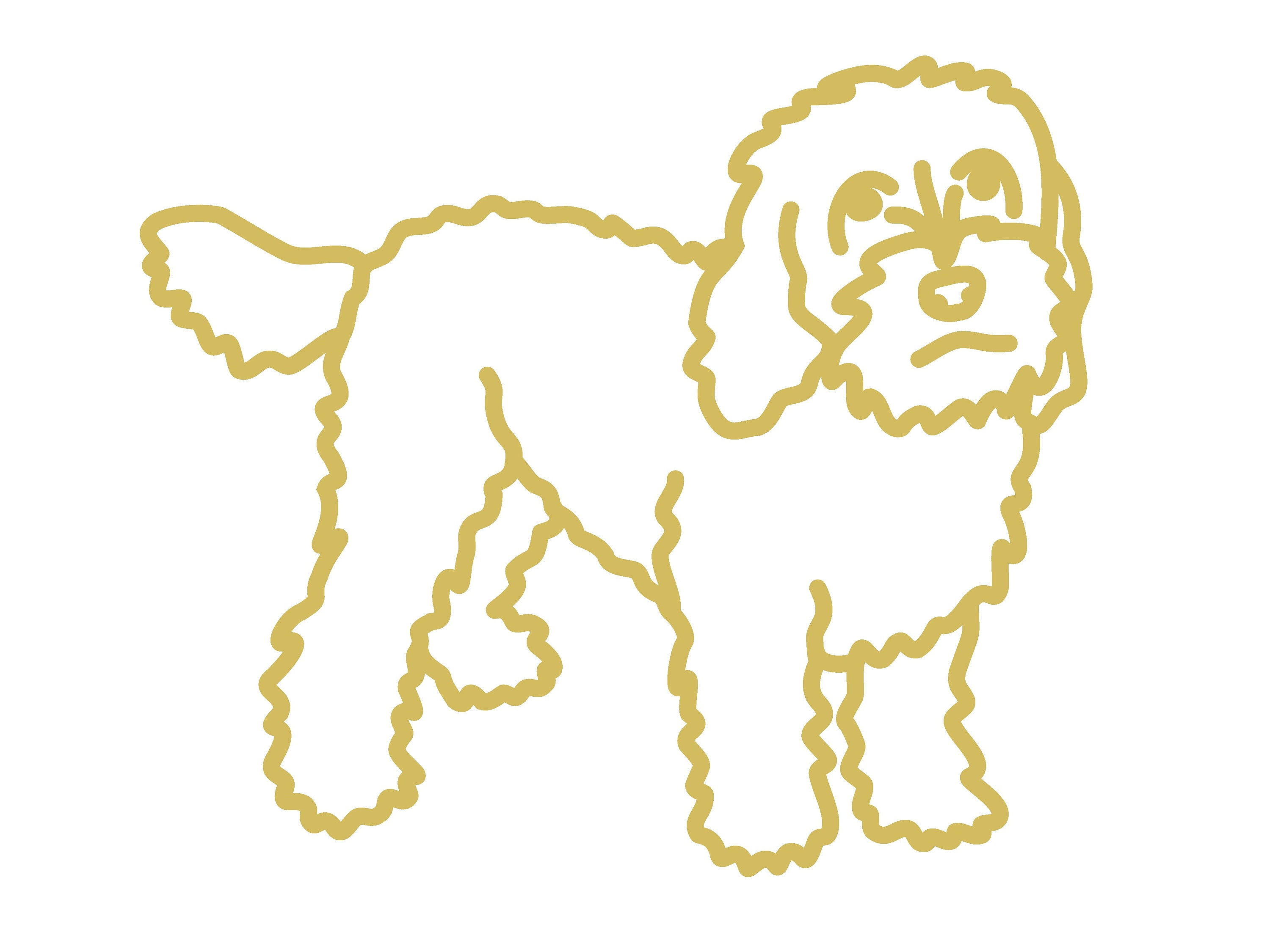 Cockerpoo デジタルダウンロード - PNG - SVG - DXF - Jpeg - 即時ダウンロード - Etsy 日本, image size:3000x2250