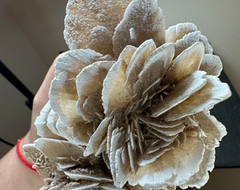RESERVED***Large Desert Rose Cluster/ Beautiful and Perfect Rose Formation/ Selenite Mineral