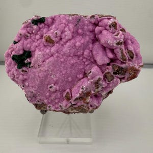 Puede incluir: Un vibrante espécimen mineral natural con una llamativa textura de burbujas en tonos rosa y púrpura. Inclusiones verdes oscuras y marrones salpican la roca, agregando contraste. El mineral se exhibe sobre un soporte acrílico transparente.