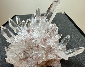 RESERVED*** Museum Grade Pink Lemurian Cluster/ Uncommon Quality in Pink Lemurian with Many and Complete Tips of Extra Clarity