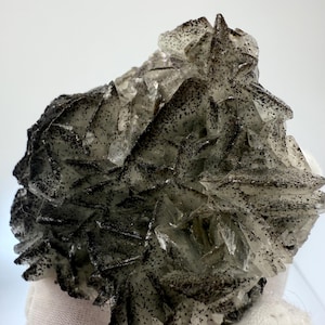 Black rose fluorite - Etsy 日本