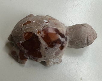 Mexican Fire Opal Turtles/ Small Opal Turtles