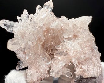 May include: A cluster of clear quartz crystals with a pale pink hue, forming a geode-like structure. The crystals are sharply pointed and clustered together, with a dark gray base. The background is black.