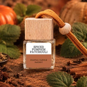 New!  SPICED PUMPKIN PATCHOULI Car Diffuser: Natural Car Freshener, Essential Oils