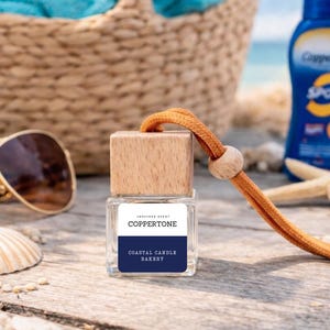 COPPERTONE Inspired Car Diffuser: Beach Scented Air Freshener