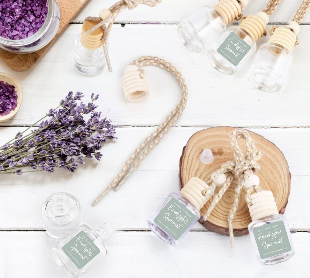 CAR DIFFUSER Choose Your Scent Car Air Freshener Freshie Highly Scented