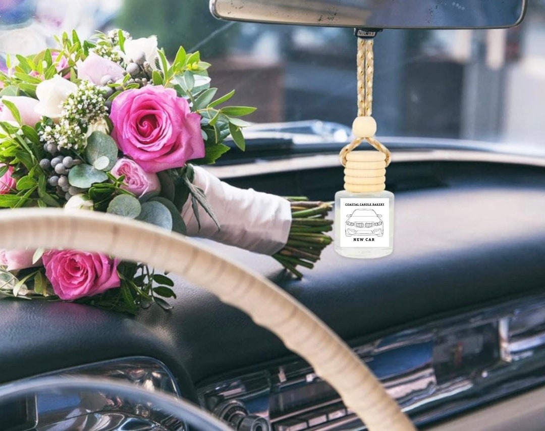 CAR DIFFUSER Choose Your Scent Car Air Freshener Freshie Highly Scented