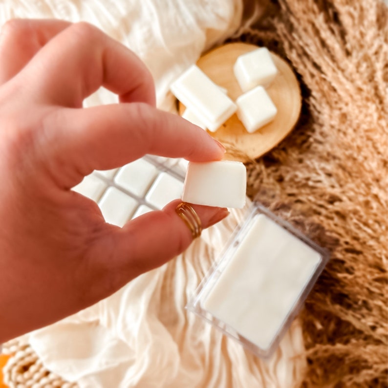 Wax Melts BLUEBERRY CHEESECAKE Bakery Sweet Wax Melt Wickless Candles