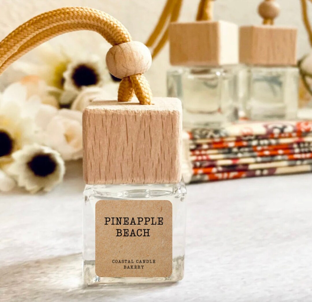 CAR DIFFUSER Pineapple Beach Scented Car Air Freshener Freshie