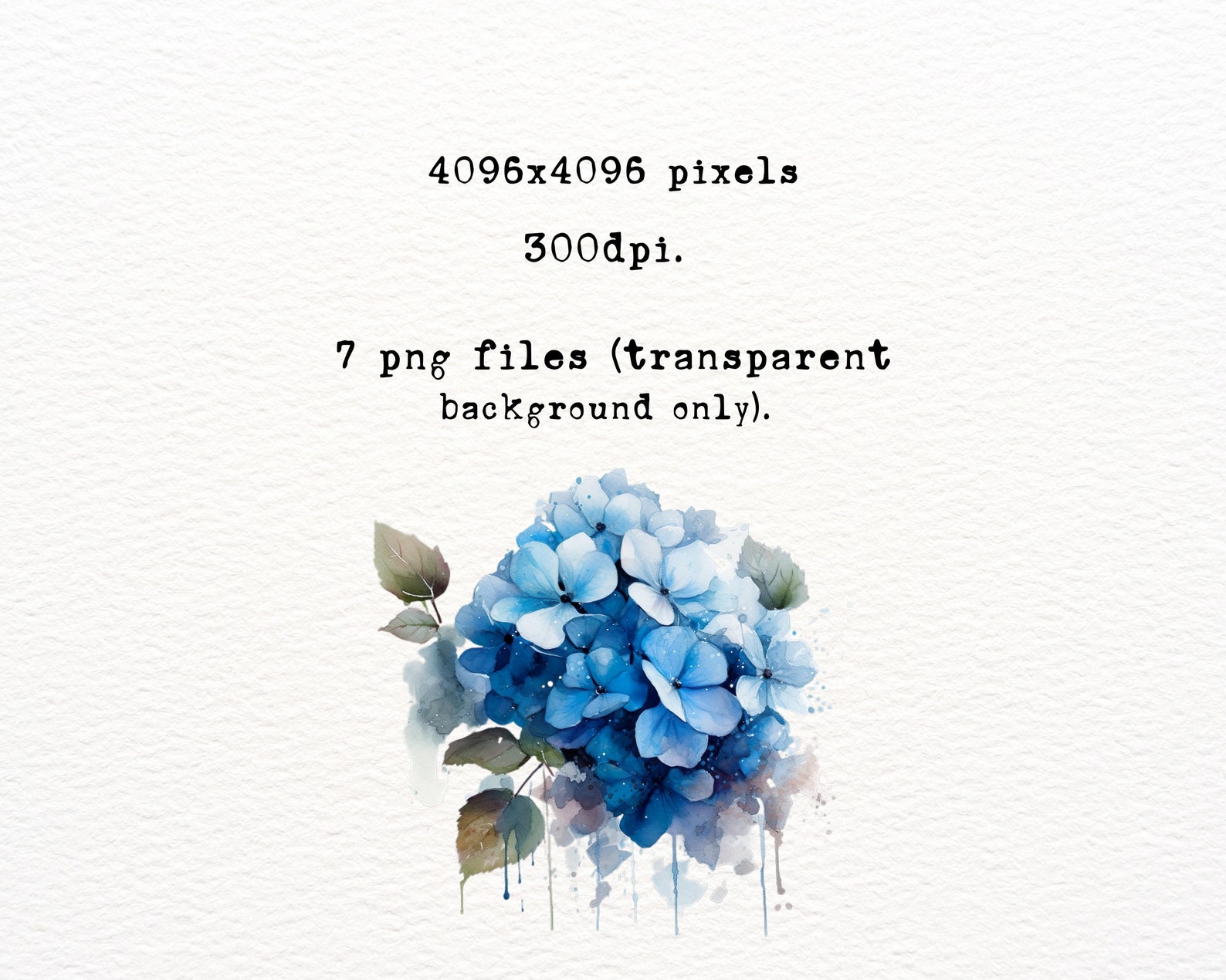 Blue Hydrangea Clipart Floral Png Watercolor Hydrangea Png Flowers