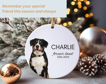 Memorial Pet Ornament | Loss of Pet Gift | Personalized Pet Loss Ornament | Pet Memorial Gift