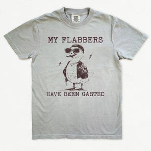 Puede incluir: Una camiseta gris claro con un pato de dibujos animados que lleva gafas de sol y una chaqueta de cuero. El texto "My Flabbers Have Been Gasted" est&aacute; impreso en la camiseta.