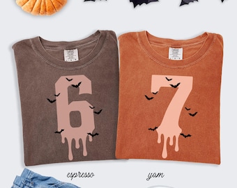6 7 Shirts Comfort colors Shirt Couples Halloween Funny Matching Shirt Trendy Tiktok Halloween Costume Shirt 67 Trend Six Seven Meme Pumpkin
