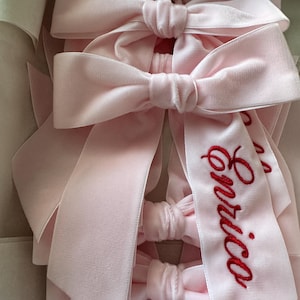 May include: Several pale pink velvet hair bows, some with long ribbons. One bow is embroidered with the name "Enrico" in red script. The bows are arranged in a box, indicating they are new and ready to be used.