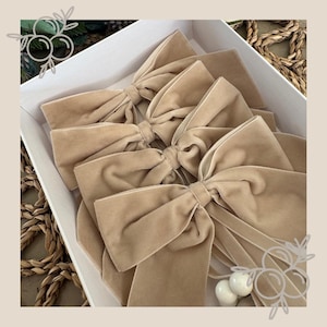 May include: A selection of beige velvet bows presented in a white box. The bows are neatly tied with long, flowing ribbons. The soft, neutral colour of the bows suggests a classic and elegant style, ideal for gift wrapping or decorative use.