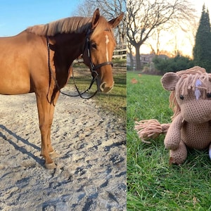 Custom Crochet Horse Toy