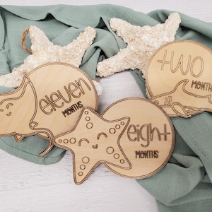Marqueurs d'étapes nautiques pour bébés, disque d'étapes importantes en bois, accessoire photo sur le thème de l'océan, coffret cadeau baby shower pour femme enceinte