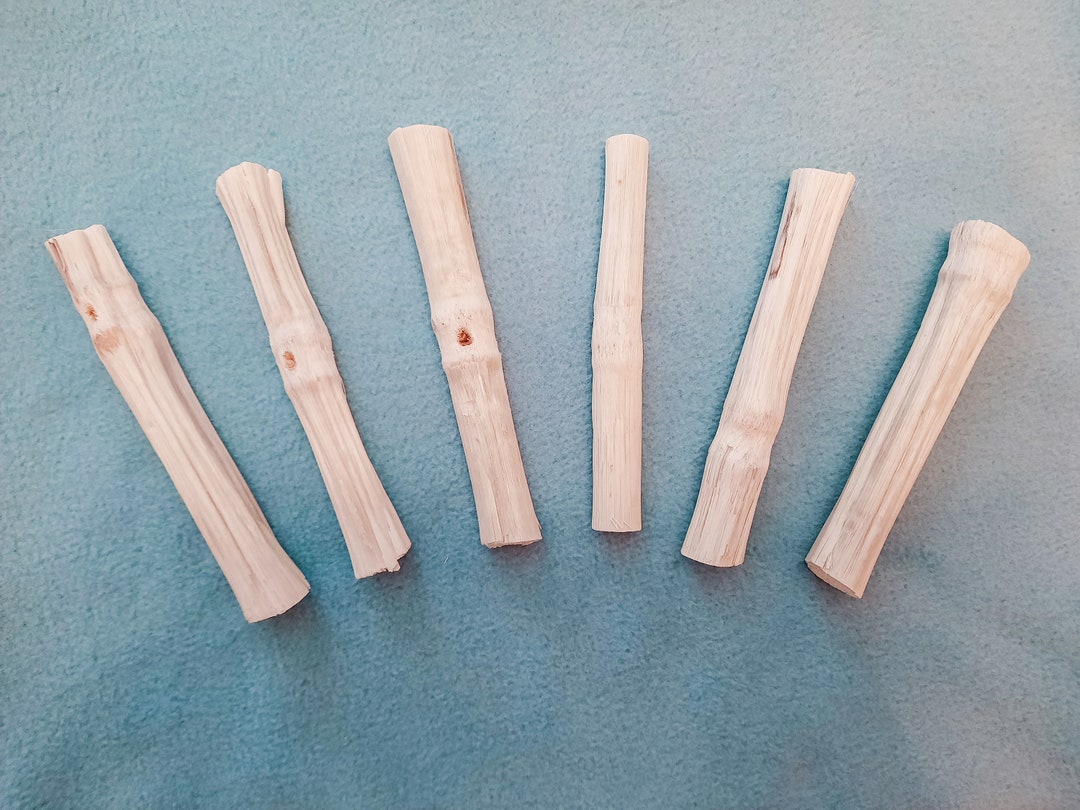 SWEET BAMBOO STICKS Treat for Bunnies, Chinchillas, Birds, and Any