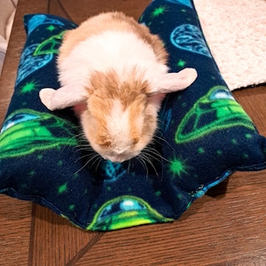 Kuschelbett, Sofakissen, Kuschelbett, Sofakissen, Hasensnoozer, Traumbett, für Hasen, Meerschweinchen, Katzen