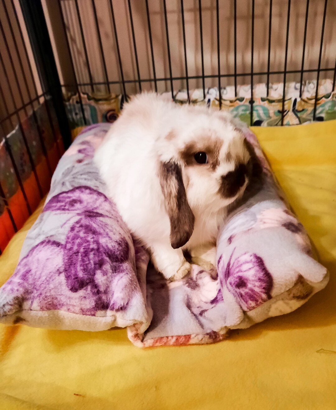 Custom Fleece Bunny Flop Bed With Uhaul, Snuggle Bed, Lounger Pillow, Bunny Snoozer, Loaf