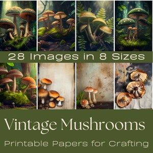 Vintage Mushrooms | Junk Journal Supplies, Junk Journal Ephemera, Scrapbooking Supplies, Ephemera Pack, Card Making, Wall Art, Mushrooms