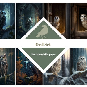 OWLS SET, Papiers de journalisation, Cartes ATC, Papier numérique, Cartes de journalisation imprimables, Téléchargement numérique, Fabrication de cartes, Éphémères, Créations manuelles