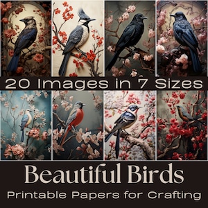 MOOIE VOGELS | Journaling Papers, Junk Journal, Afdrukbare logboekkaarten, Digitale download, Ephemera, printables vogels en bloemen