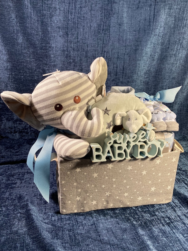 Baby Boy Gift Basket, Baby Shower Gift Basket, Corporate Baby Boy Gift Basket,