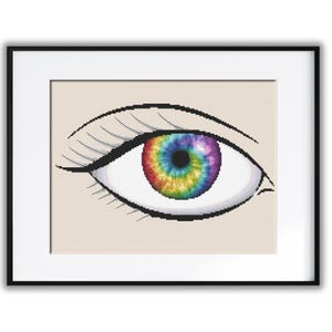 Rainbow Iris Cross Stitch Pattern | Detailed Intermediate/Advanced Design | 75 DMC Colors | Highly detailed patterns for left & right eye