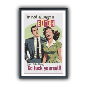 I&#39;m Not Always A Bitch - cross stitch pattern -  PDF - modern cross stitch - instant download - pattern keeper - retro - 50s