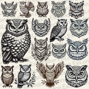 May include: A collection of 14 black and white illustrations of owls with intricate details. The owls are drawn in a vintage style with feathers, eyes, and beaks.