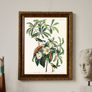 Vintage Bird Art Print Wall Decor Audubon Birds of America Gift for Her Mother&#39;s Day Gift