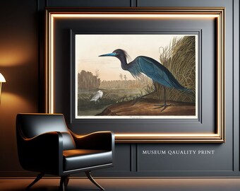May include: A vintage print of a blue heron standing on a rock in a marsh. The heron has a long neck and long legs. The print is framed in a gold frame and has the text "MUSEUM QUALITY PRINT" at the bottom.