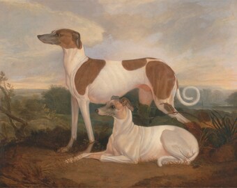 May include: A painting depicting two white and brown greyhounds. The dog in the foreground is lying down, while the dog in the background is standing and looking to the left. The dogs are in a field with trees and a cloudy sky in the background.