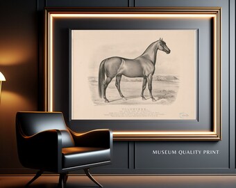 Vintage Horse Art Print, "Volunteer, The great sire of Trotters", by John Cameron, 1880, reproduction museum quality matte finish, unframed