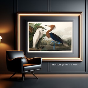 Audubon Purple Heron Art Print: Museum Quality Reproduction