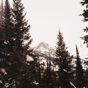 Grand Teton National Park Portra 400 Poster DIGITAL DOWNLOAD