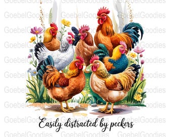 Pollo gracioso PNG: Diseño que se distrae fácilmente con los picos (Descarga digital)