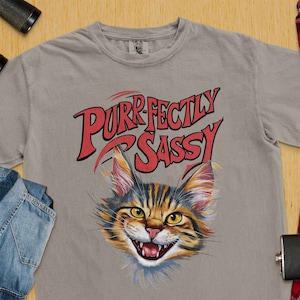 完璧に生意気なTシャツ、面白い猫好きのTシャツ、ユニークな猫のデザイントップ、クールなグラフィックTシャツ、かわいい猫のシャツギフト、猫をテーマにしたアパレル