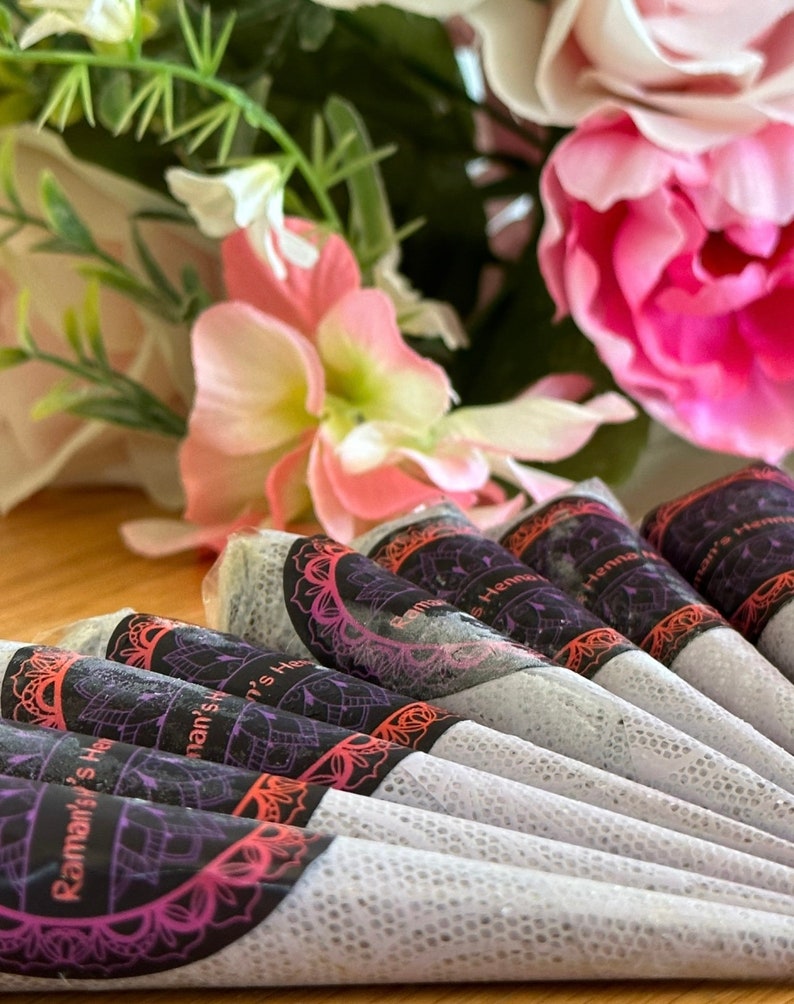 Organic Henna Cones/ Mehndi Cones 20 Gram Each Etsy