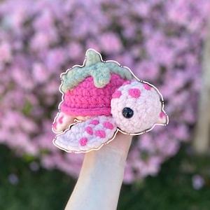Fruit Sea Turtle Plushies