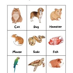 Printable Animal Flash Cards for Kids, 3 X Printable Pages for Learning ...