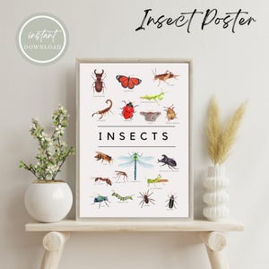 Impresión educativa sobre insectos: descarga digital en tamaños A4 y póster, PDF y PNG, recurso de aprendizaje para los primeros años